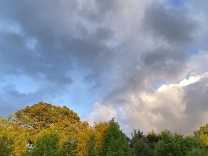 Front Back Body Breath Awareness