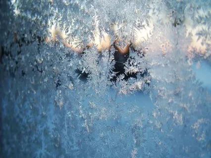 Frost Patterns