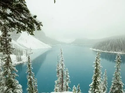 Frozen Morning Glimmers