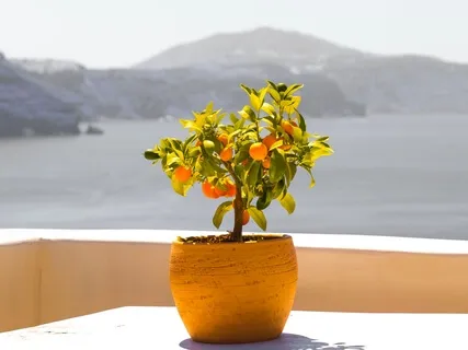 Fruit Of The Spirit Centering Prayer