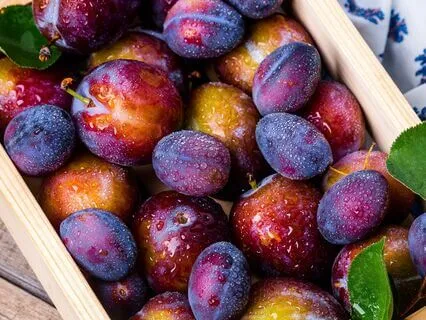 Fruit Of The Spirit Meditation