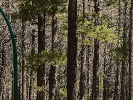 Fruits Of The Spirit For Leadership