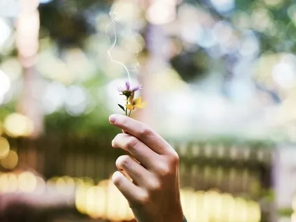 Fruity Vision For Your Dreams