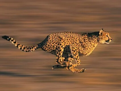 Visualizing Meditation For Stamina And Runners