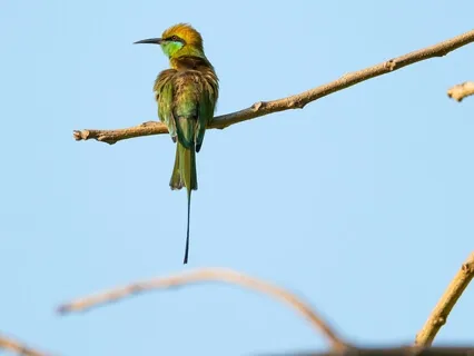 Fuel Your Self-Love- 3.19.2021