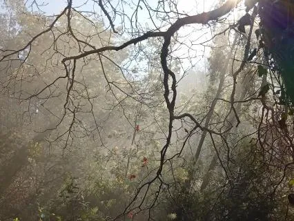 Fuente, Psta de sueño