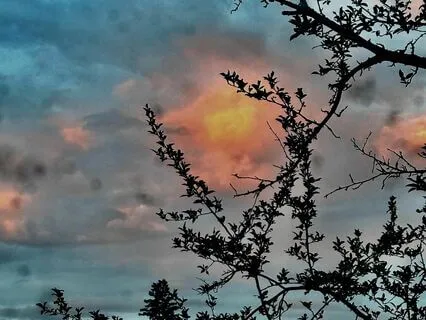 Fukanzazengi, "Universal Principles Of Zen Meditation"-5