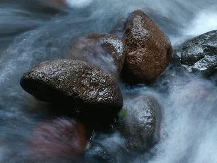 Fukanzazengi, Universal Principles Of Zen Meditation Talk- 3