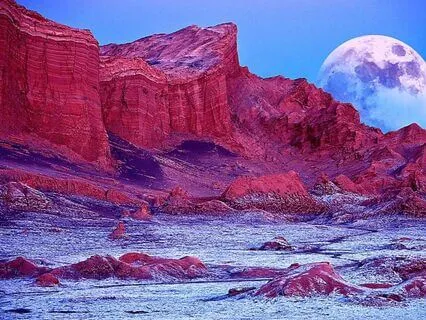 Fulfillment Vs Happiness