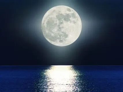 Full Beaver Moon Meditation