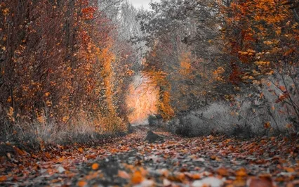 Full Body Aura Cleanse & Kundalini Rising