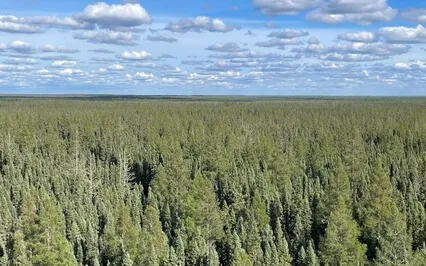 Full-Body Breath Meditation