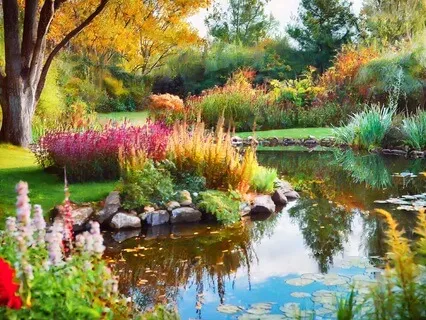 Full Body Breath With Your Favorite Color