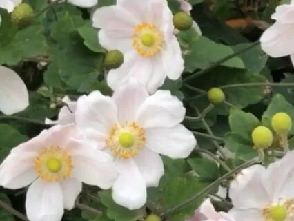 Full Body Breathing for Relaxation