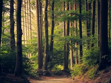 Full Body Conscious Relaxation 