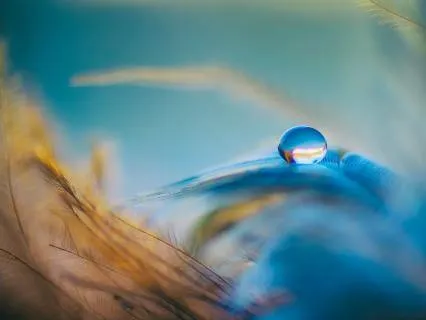 Full Body Energy Reset (Ancient Taoist Practice )