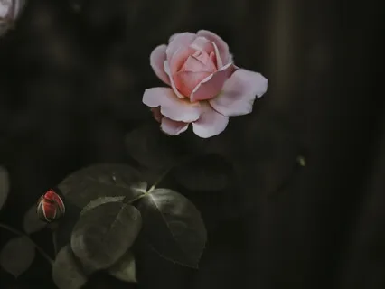 Full Body Relaxation For Sleep