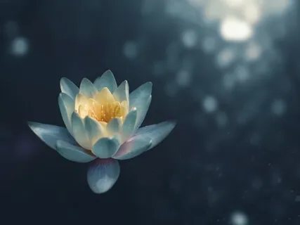 Full Body Relaxation 