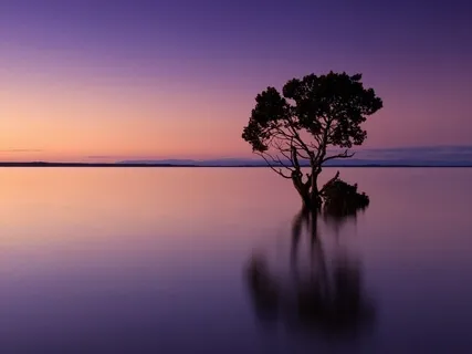 Full Body Relaxation