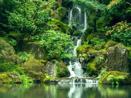 Full Body Relaxation