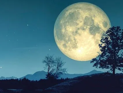 Full-Body Relaxation For Deep Sleep (PMR & 432 Hz Music)