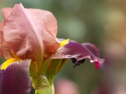 Full-Body Progressive Muscle Relaxation For Sleep