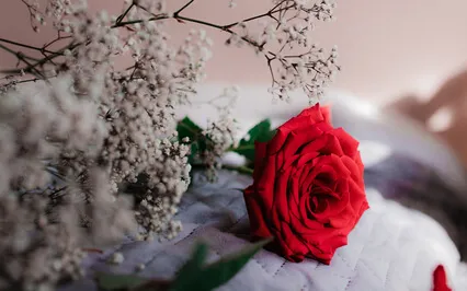 Full Body Relaxation - Guided Yoga Nidra Meditation