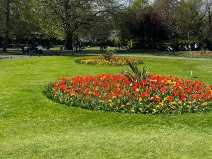 Full Body Relaxation Meditation | Release Tension & Stress