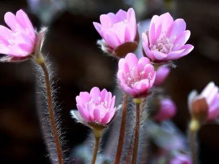 Full Body Relaxation