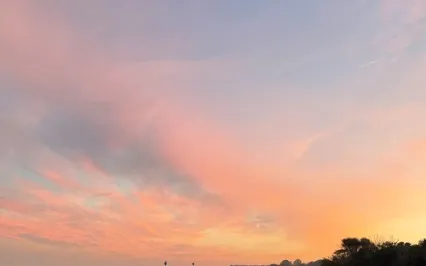 Full Body Scan By Emma Hamshare