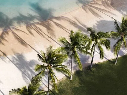 Full Body Scan For Relaxation & Repair