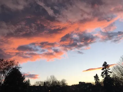 Full Body Scan Meditation For Mornings And Evenings