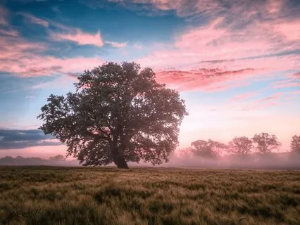 Full Body Scan Meditation For Stress Relief