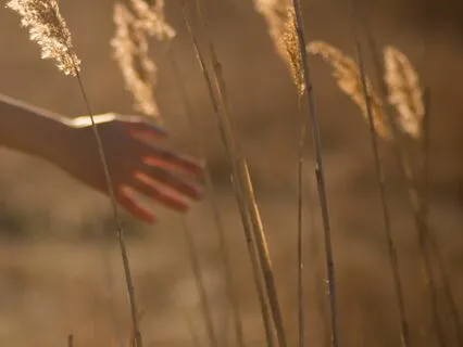 Feel Unshakeable - A Practice In Self Trust