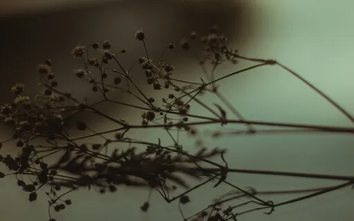 Full Breath Meditation - Feeling At Home In Your Body