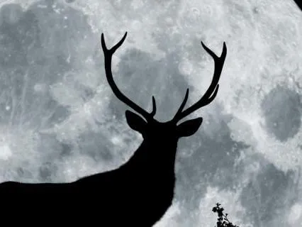 Full Buck Moon Poem