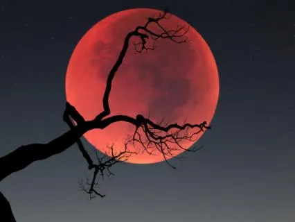 Full Buck Moon Prayer