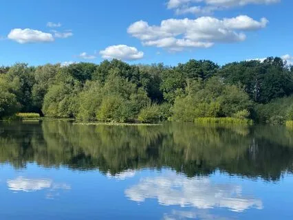 Full Chakra Cleanse - Connect With Your Divine Self