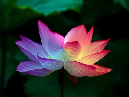 Full Chakra Healing Meditation