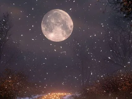 Full Cold Moon Meditation