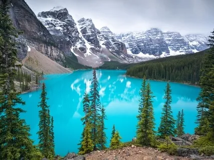 Full Compassion For Creativity