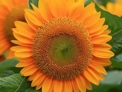 Full Confidence For Aligned Decision Making | 3 Minutes