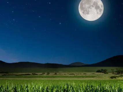 Full Corn Moon Poem