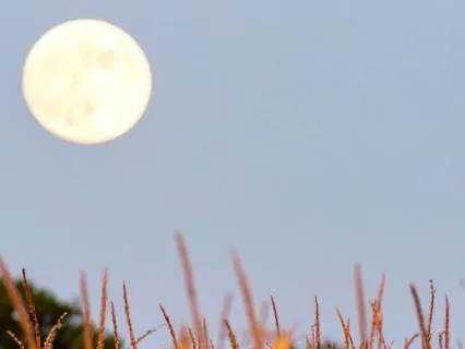 Full Corn Moon Prayer