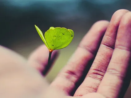 Full Energy Reiki Music (With Bell Every 3 Minutes)