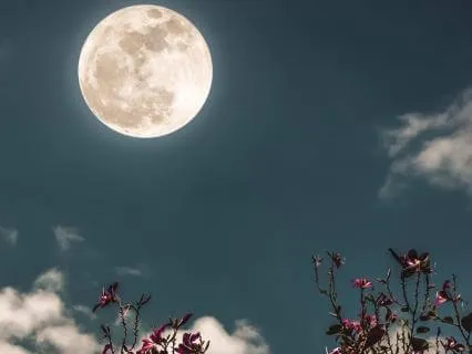 Full Flower Moon Poem
