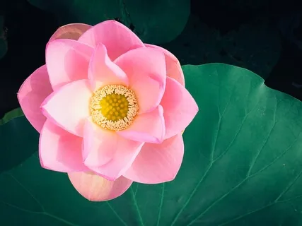 Yoga Nidra For Healing