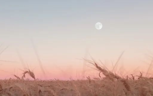 Full Harvest Moon