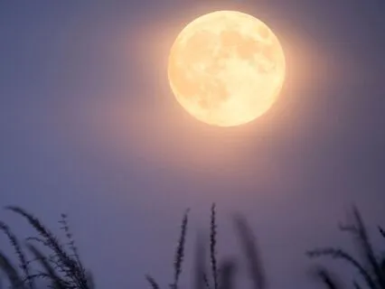 Full Hunter Harvest Moon Meditation