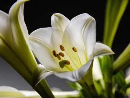 Full Moon: 3-Minute Intention Setting Meditation